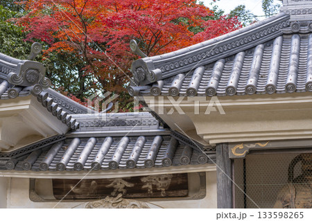 満願寺 山門(仁王門) 紅葉の季節 満願寺 山門(仁王門) 紅葉の季節 133598265