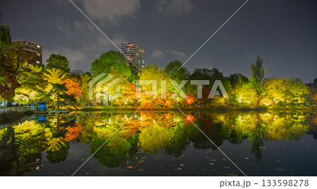 中島公園・夜の水鏡風景 中島公園・夜の水鏡風景 133598278