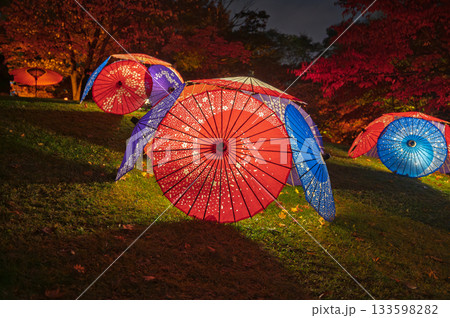 秋灯りに包まれて:中島公園の幻想夜景 秋灯りに包まれて:中島公園の幻想夜景 133598282