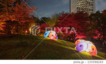 秋灯りに包まれて:中島公園の幻想夜景 秋灯りに包まれて:中島公園の幻想夜景 133598283