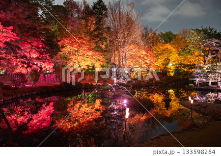 日本庭園の秋夜幻想 日本庭園の秋夜幻想 133598284