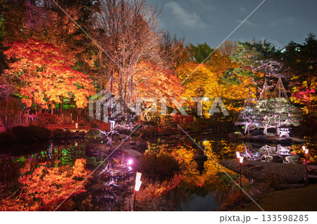 日本庭園の秋夜幻想 133598285