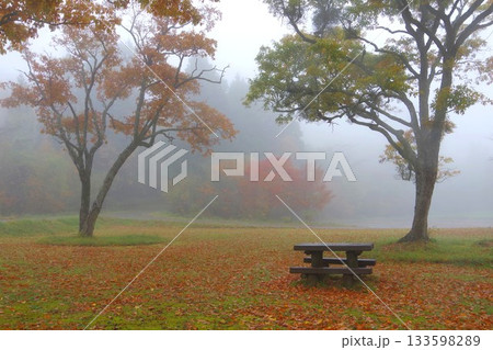 秋の公園のベンチ 秋の公園のベンチ 133598289