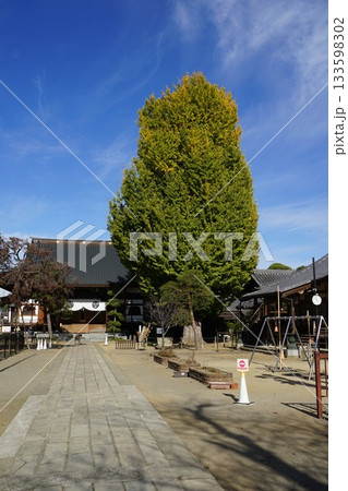 群馬県富岡市の上州電鉄上州富岡駅周辺の龍光寺の風景 133598302