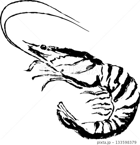 海老の墨絵イラスト 133598379