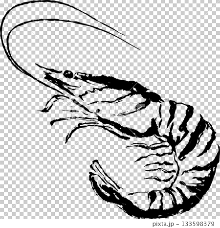 海老の墨絵イラスト 133598379