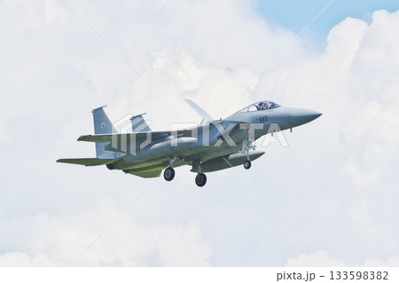 着陸態勢の第303飛行隊のF-15J 133598382