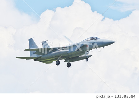 着陸態勢の第303飛行隊のF-15J 133598384