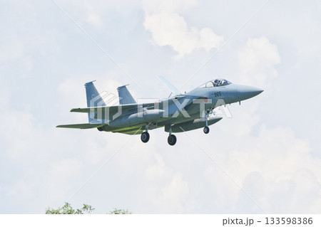 着陸態勢の第303飛行隊のF-15J 133598386