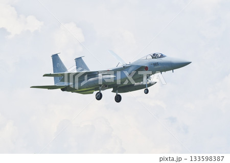 着陸態勢の第303飛行隊のF-15J 133598387