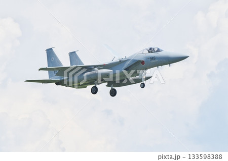 着陸態勢の第303飛行隊のF-15J 133598388