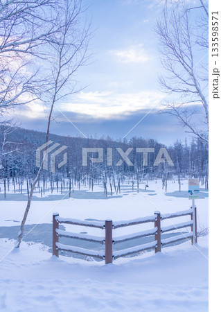 北海道の観光名所 雪の積もった青い池 北海道の観光名所 雪の積もった青い池 133598571