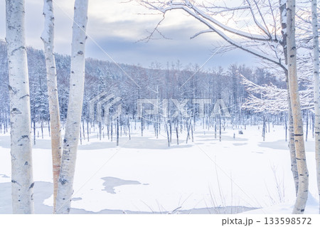 北海道の観光名所　雪の積もった青い池 133598572