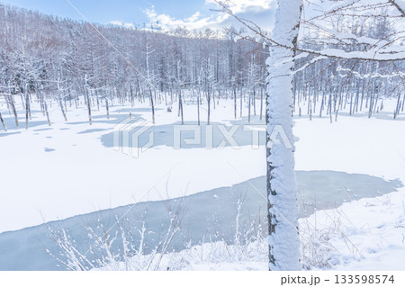 北海道の観光名所 雪の積もった青い池 北海道の観光名所 雪の積もった青い池 133598574