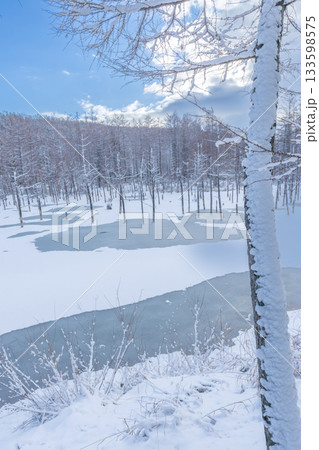 北海道の観光名所 雪の積もった青い池 北海道の観光名所 雪の積もった青い池 133598575