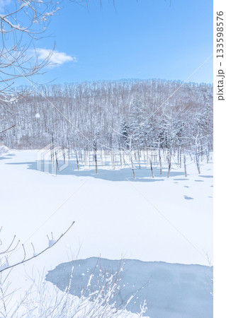 北海道の観光名所 雪の積もった青い池 北海道の観光名所 雪の積もった青い池 133598576