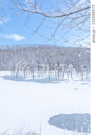 北海道の観光名所　雪の積もった青い池 133598577