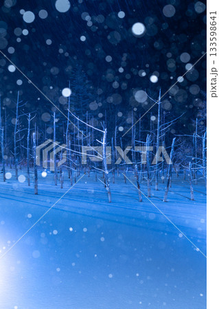 冬絶景の白金温泉　青い池のライトアップ 133598641