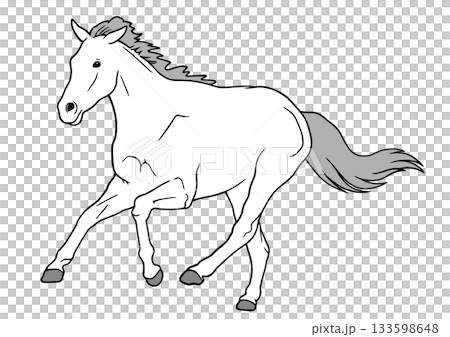 Horse  133598648