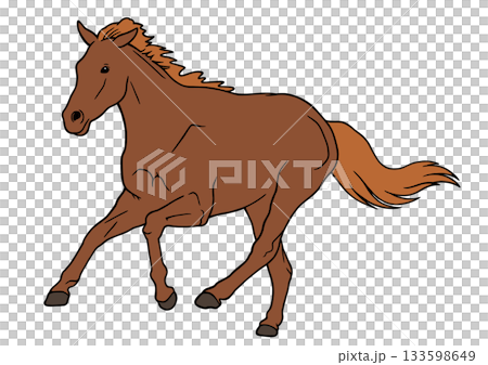 Horse  133598649