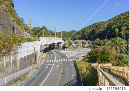 【千葉県勝浦市】行川アイランド前・交差点付近 133598916