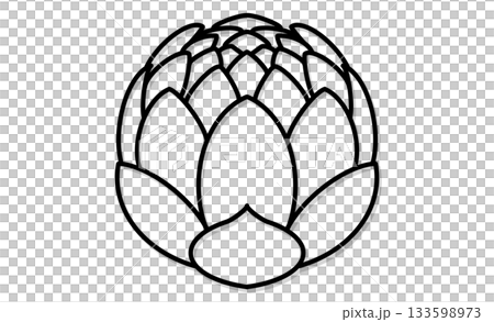 Spring wild vegetables and butterbur line drawing icon material Spring wild vegetables and butterbur line drawing icon material 133598973