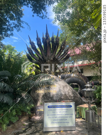 木 ツリー 樹 133599185