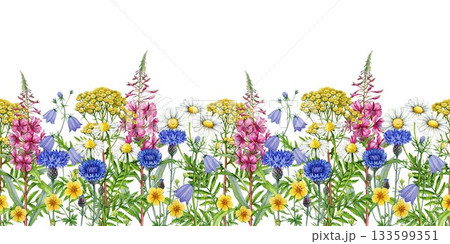 Meadow wildflowers seamless border watercolor...のイラスト素材 [133599351] - PIXTA