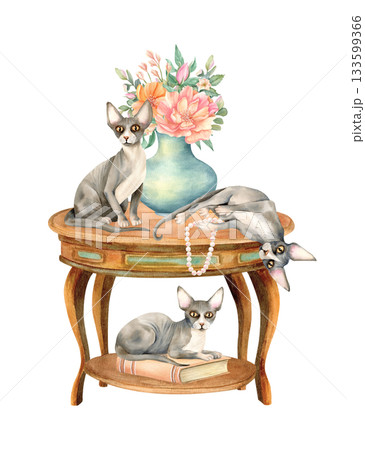 Cozy interior vintage composition with three sphynx cat, retro round wooden table, vase flowers and pearl jewelry. Domestic animal on furniture. Watercolor isolated spring illustration design Cozy interior vintage composition with three sphynx cat, retro round wooden table, vase flowers and pearl jewelry. Domestic animal on furniture. Watercolor isolated spring illustration design 133599366