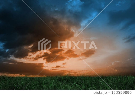 Green grass under blue and orange sky Green grass under blue and orange sky 133599890