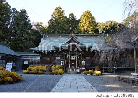 秋の吉田神社 133599985