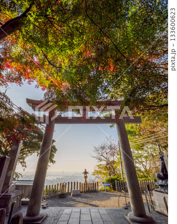 神戸市東灘区の保久良神社の参道の紅葉 神戸市東灘区の保久良神社の参道の紅葉 133600623