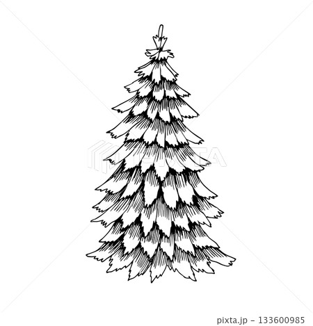 Detailed hand-drawn Christmas tree illustration in vintage engraving style. Perfect for holiday designs, greeting cards, coloring pages, invitations, craft projects, stickers, and festive branding. 133600985