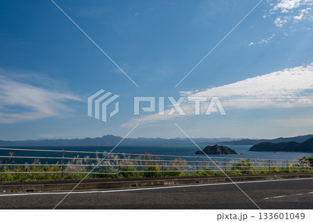 鹿児島枕崎の海岸線 鹿児島枕崎の海岸線 133601049