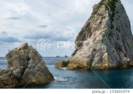 鹿児島枕崎の海岸線 133601074
