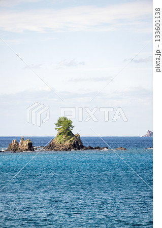 鹿児島枕崎の海岸線 133601138