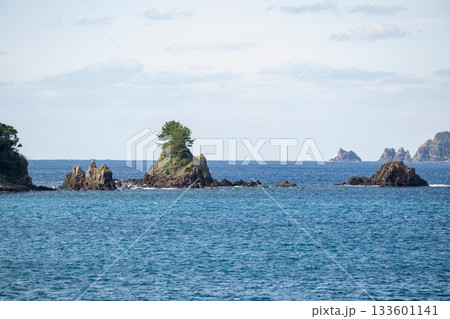 鹿児島枕崎の海岸線 133601141