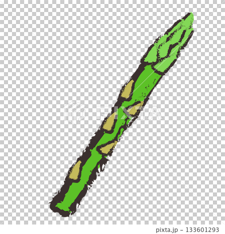 Illustration of asparagus 133601293