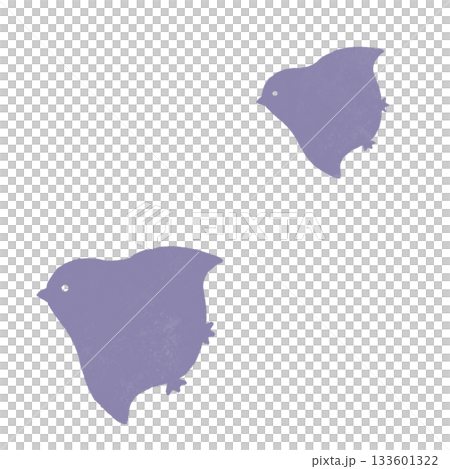 Bird / Hand-drawn watercolor illustration / Analog style / Digital art material / Procreate Bird / Hand-drawn watercolor illustration / Analog style / Digital art material / Procreate 133601322