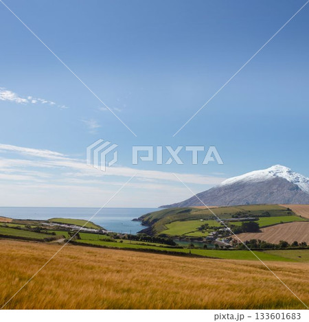 Country scene with mountain Country scene with mountain 133601683