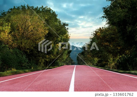 Running track in the nature Running track in the nature 133601762