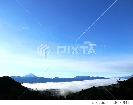 富士山と甲府盆地の雲海 133601941