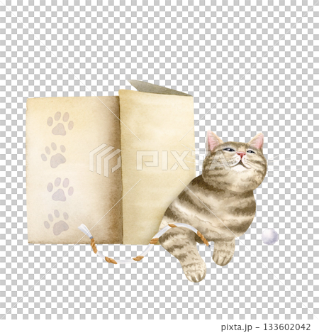 Funny brown cat in box with toys watercolor illustration isolated on white. Hand drawn striped tabby pet laying and looking up clip art for domestic animals designs, rescue and adoption centers 133602042