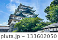名古屋城と木々 133602050