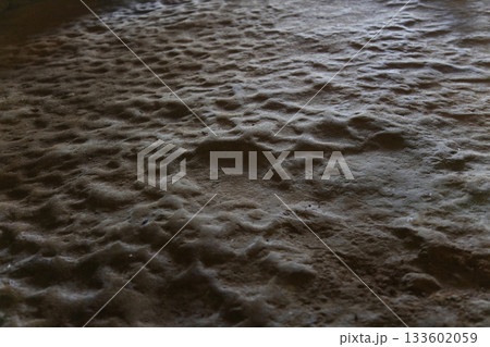 古民家の玄関 133602059