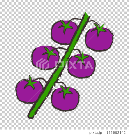 櫻桃番茄插圖（紫色） 133602142