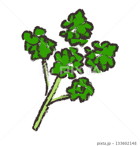 パセリのイラスト 133602148