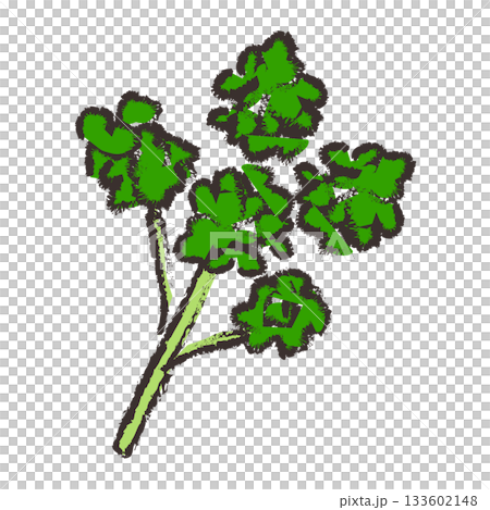 パセリのイラスト 133602148