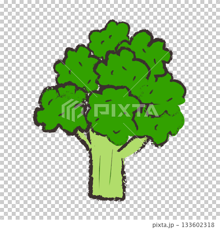 ブロッコリーのイラスト ブロッコリーのイラスト 133602318