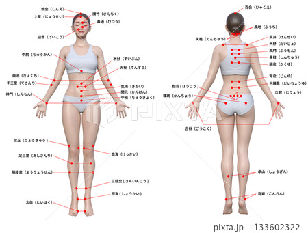 体のツボ 日本人3Dモデル女性の図解イラスト 全身正面 後ろ姿のセット 体のツボ 日本人3Dモデル女性の図解イラスト 全身正面 後ろ姿のセット 133602322